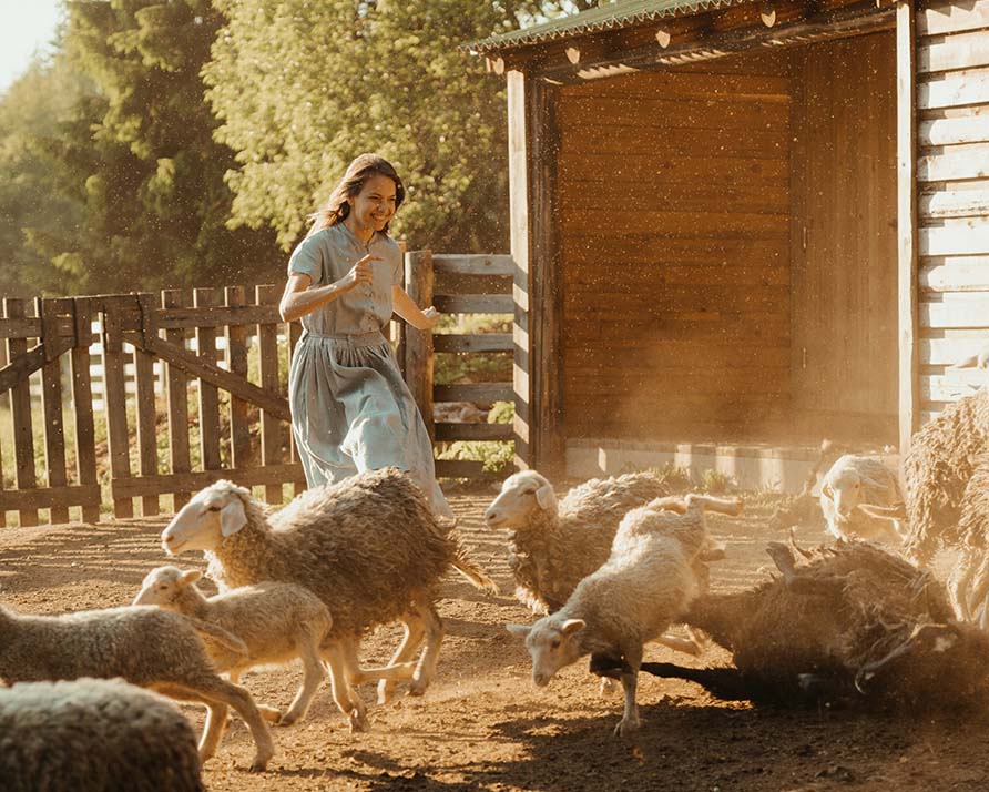 AgricPal Youth Agripreneur Bootcamp