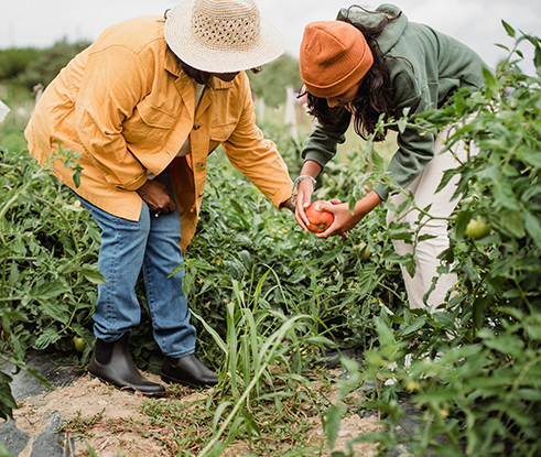Token Redemption Day